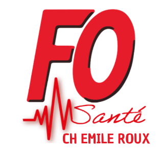 CH Emile Roux